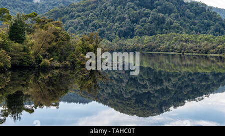 Reflexionen auf dem Gordon River, Tasmanien Stockfoto