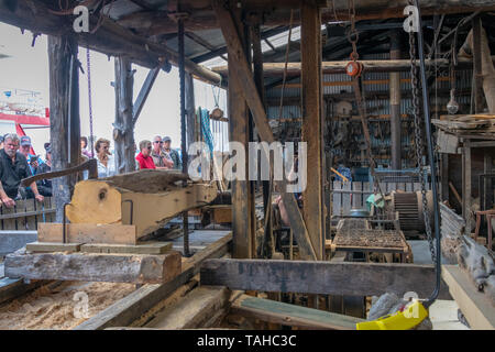 Traditionelle Sägewerk Schneiden Huon Pine, Hobart, Tasmanien Stockfoto