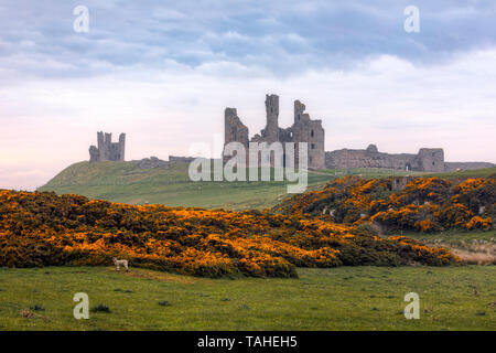 Dunstanburgh Castle, Craster, Northumberland, England, UK, Europa Stockfoto