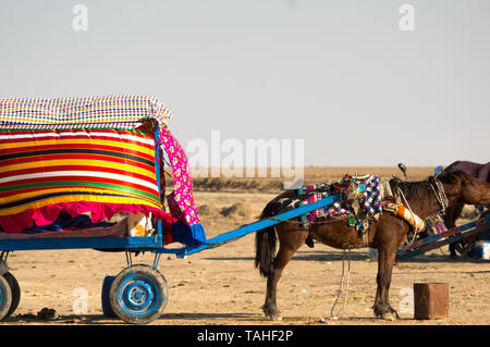 Rann von Kutch, Gujarat, Indien - ca. 2018: Pferd zieht eine bunte Warenkorb für Touristen Weiße Wüste in Gujarat und Rajasthan zu sehen. Kamel und Pferd ca Stockfoto