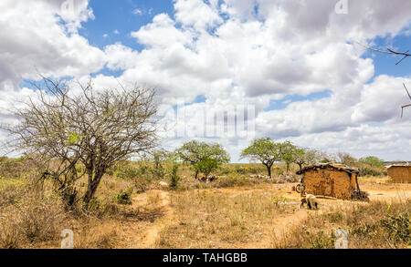 Die Armut der afrikanischen Masai Stamm in Kenia Stockfoto