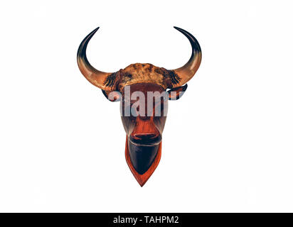 Kopf Holz- Kuh Schädel Stier auf weißem Hintergrund/Tier horn isoliert schnitzen Holz Stockfoto