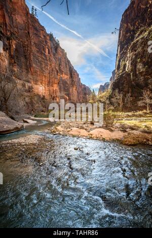 Fluss Virgin River fließt durch den Zion Canyon, Riverside Walk, die Narrows, Zion National Park, Utah, USA Stockfoto