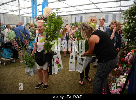 Besucher tragen Topf pflanzen Nach dem großen Werk Verkaufswelle an der RHS Chelsea Flower Show im Royal Hospital Chelsea, London. Stockfoto