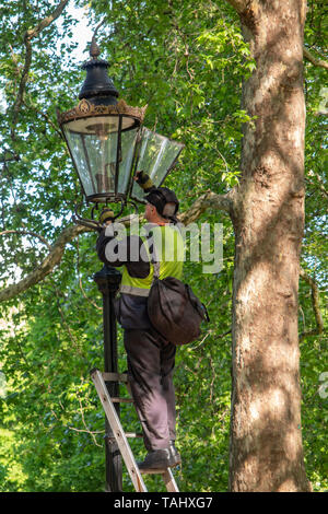 Gas London Street licht Feuerzeuge Ausschalten der Straßenbeleuchtung im Green Park an einem sonnigen Tag im Frühjahr Stockfoto