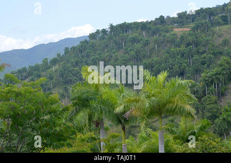 Felder und die bewaldeten Hänge in Guisa Gemeinde (Provinz Granma, Kuba), in der Nähe des Pico de la Bayamesa Nationalpark, südlichen Kuba Stockfoto