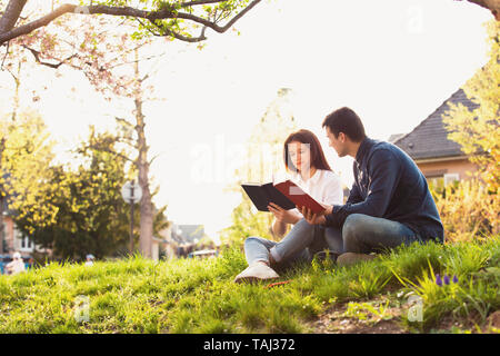 Die Schüler lernen für Prüfung zusammen in einem Stadtpark. Studenten Brainstorming lernen für die Prüfung. Fast Learning Konzept. Studenten Teamarbeit. Stockfoto