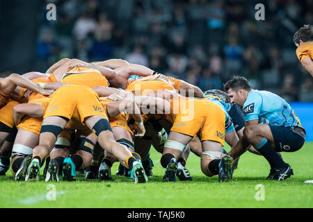 Sydney, Australien. 25 Mai, 2019. Nick Phipps von Waratahs speist die Scrum während des Super Rugby-spiel zwischen Waratahs und Jaguares an Bankwest Stadion, Sydney, Australien, am 25. Mai 2019. Foto von Peter Dovgan. Nur die redaktionelle Nutzung, eine Lizenz für die gewerbliche Nutzung erforderlich. Keine Verwendung in Wetten, Spiele oder einer einzelnen Verein/Liga/player Publikationen. Credit: UK Sport Pics Ltd/Alamy leben Nachrichten Stockfoto