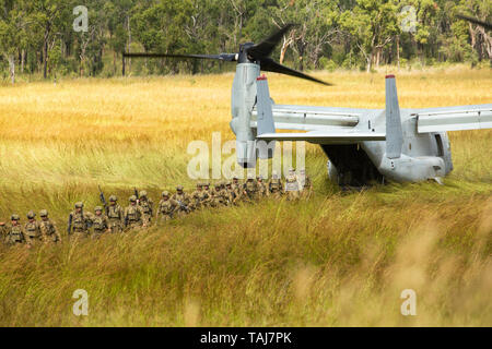 Shoalwater Bay, Queensland, Australien. 25. Mai 2019. Australische Soldaten mit 6 Bataillon, Royal Australian Regiment führen eine Antenne aus einer MV-22 Osprey Transportflugzeuge während der Übung südlichen Jackaroo Mai 25, 2019 in der Shoalwater Bay, Queensland, Australien. Südliche Jackaroo ist eine trilaterale Übung mit Australien, Japan und den Vereinigten Staaten. Credit: Planetpix/Alamy leben Nachrichten Stockfoto