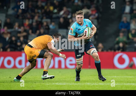 Sydney, Australien. 25 Mai, 2019. Lachlan Swinton der Waratahs angreifen während des Super Rugby-spiel zwischen Waratahs und Jaguares an Bankwest Stadion, Sydney, Australien, am 25. Mai 2019. Foto von Peter Dovgan. Nur die redaktionelle Nutzung, eine Lizenz für die gewerbliche Nutzung erforderlich. Keine Verwendung in Wetten, Spiele oder einer einzelnen Verein/Liga/player Publikationen. Credit: UK Sport Pics Ltd/Alamy leben Nachrichten Stockfoto