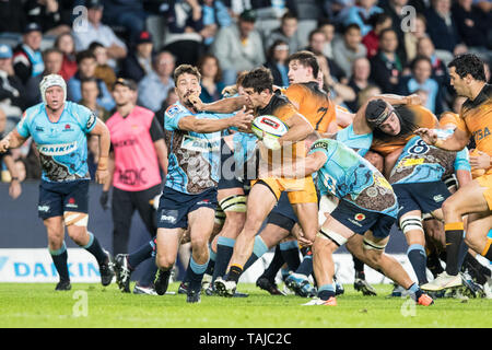 Sydney, Australien. 25 Mai, 2019. Jaguares angreifen während des Super Rugby-spiel zwischen Waratahs und Jaguares an Bankwest Stadion, Sydney, Australien, am 25. Mai 2019. Foto von Peter Dovgan. Nur die redaktionelle Nutzung, eine Lizenz für die gewerbliche Nutzung erforderlich. Keine Verwendung in Wetten, Spiele oder einer einzelnen Verein/Liga/player Publikationen. Credit: UK Sport Pics Ltd/Alamy leben Nachrichten Stockfoto