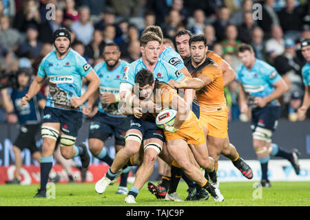 Sydney, Australien. 25 Mai, 2019. Michael Böttcher der Waratahs Geräte während des Super Rugby-spiel zwischen Waratahs und Jaguares an Bankwest Stadion, Sydney, Australien, am 25. Mai 2019. Foto von Peter Dovgan. Nur die redaktionelle Nutzung, eine Lizenz für die gewerbliche Nutzung erforderlich. Keine Verwendung in Wetten, Spiele oder einer einzelnen Verein/Liga/player Publikationen. Credit: UK Sport Pics Ltd/Alamy leben Nachrichten Stockfoto