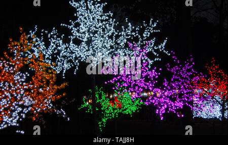 Beleuchtete Bäume mit Leuchten in Chengdu, China bei Wuhou Tempel Laternenfest. Die bunten Lichter der Bäume, die der Feiern zum chinesischen Neujahrsfest. Stockfoto