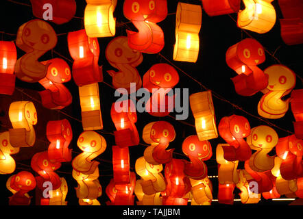 Chinesische Laternen in Chengdu an der Wuhou Tempel Laternenfest in Chengdu, Sichuan, China. Die Laternen sind für Chinesisches Neujahr: Jahr der Schlange Stockfoto