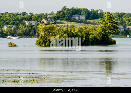 Ferienhaus See Sommer Szene mit ruhigen See mit Inseln und Wasserpflanzen und nett cloud Reflexion auf ruhigem Wasser Stockfoto