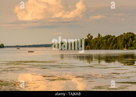 Ferienhaus See Sommer Szene mit ruhigen See mit Inseln und Wasserpflanzen und nett cloud Reflexion auf ruhigem Wasser Stockfoto