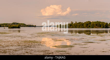 Ferienhaus See Sommer Szene mit ruhigen See mit Inseln und Wasserpflanzen und nett cloud Reflexion auf ruhigem Wasser Stockfoto