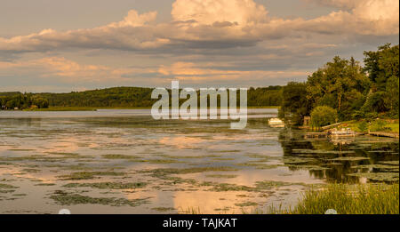 Ferienhaus See Sommer Szene mit ruhigen See mit Inseln und Wasserpflanzen und nett cloud Reflexion auf ruhigem Wasser Stockfoto