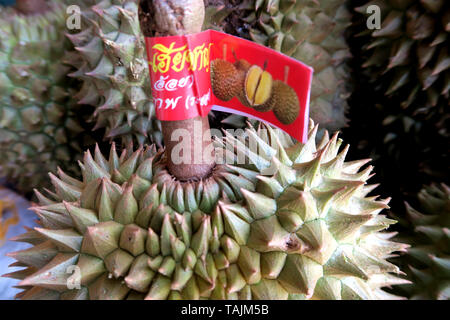 Durian für Verkauf, Klong Tan, Bangkok, Thailand Stockfoto