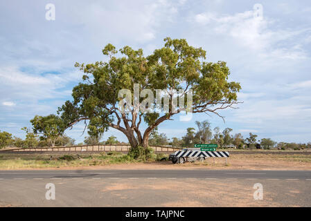 30 km von der nächsten Stadt und Schule der Burren Kreuzung, ist dies der Schule Bushaltestelle auf der Kamilaroi Highway unter einem riesigen alten gelben Box Gum Tree Stockfoto