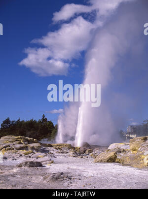 Prince Of Wales Federn Geysir ausbrechen, Te Puia thermische Tal, Rotorua, Bucht von viel Region, Nordinsel, Neuseeland Stockfoto