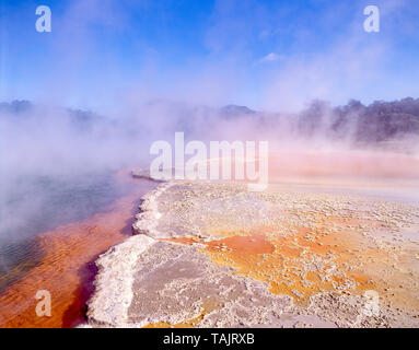 Champagne Pool, Wai-O-Tapu Thermal Wonderland Waiotapu, Bay of Plenty, Neuseeland Stockfoto