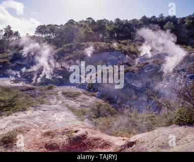 Geothermische Dampf, Wai-O-Tapu Thermal Wonderland Waiotapu, Bay of Plenty, Neuseeland Stockfoto