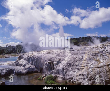 Prince Of Wales Federn Geysir ausbrechen, Te Puia thermische Tal, Rotorua, Bucht von viel Region, Nordinsel, Neuseeland Stockfoto