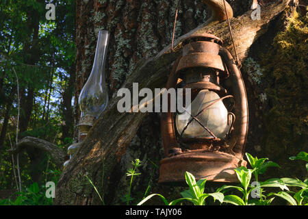 Alte, kaputte und rostige Öl Lampen hängen in der Nähe der alten Baumstamm auf Zweig und vom sommer sonne Lichtstrahlen beleuchtet Stockfoto