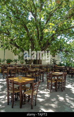 Die traditionellen Platz der Mesotopos Dorf, in Lesvos (oder) Insel Lesbos, Griechenland. Die Vorsitzenden der lokalen kafeneio (traditionellen griechischen Kaffee store) und s Stockfoto