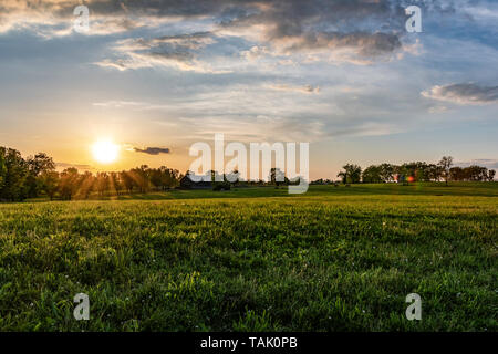 Kentucky Horse Farm bei Sonnenuntergang auf einem Frühlingsabend. Stall und Pferde grasen am Ende der Bluegrass Weide beleuchtet mit goldenen Stunde Sonnenlicht. Stockfoto