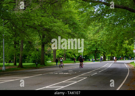 Menschen im Park trainieren Stockfoto