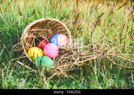 Ostereier Jagd auf grünem Gras Outdoor/Korb Notgroschen bunt verziert Festliche auf Wiese Stockfoto