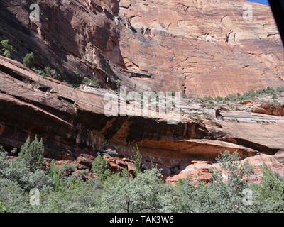 Nahaufnahme von Felsformationen entlang der Kanten und die Wände von steilen Klippen im Zion National Park, Utah. Stockfoto