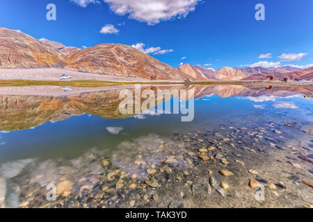 Reflexionen über Pangong Tso, auch als pangong See, im Himalaya und in einer Höhe von ca. 14,270 ft. Tibetisch für "hohe Gräser See'. Stockfoto