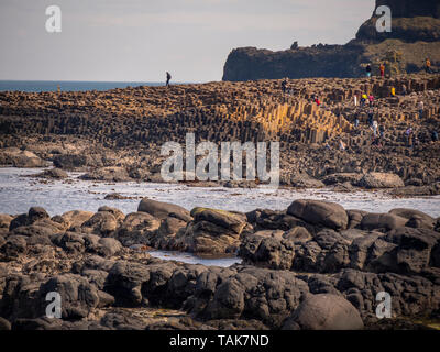 Die typischen Felsformationen der Giants Causeway in Nordirland - Reise Fotografie Stockfoto