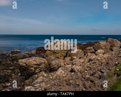 Die typischen Felsformationen der Giants Causeway in Nordirland - Reise Fotografie Stockfoto