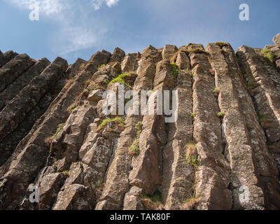 Die typischen Felsformationen der Giants Causeway in Nordirland - Reise Fotografie Stockfoto