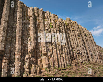 Die typischen Felsformationen der Giants Causeway in Nordirland - Reise Fotografie Stockfoto