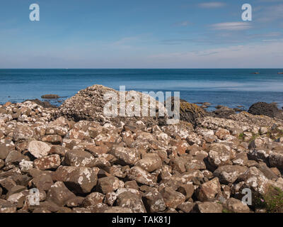 Berühmten Felsen von Giants Causeway in Nord Irland - Reise Fotografie Stockfoto