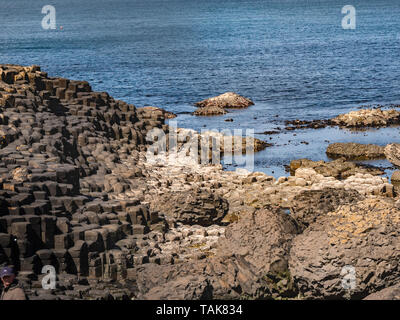 Die typischen Felsformationen der Giants Causeway in Nordirland - Reise Fotografie Stockfoto