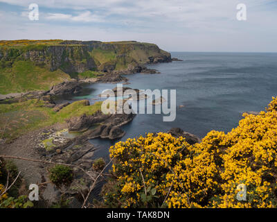 Erstaunlich Causeway Coast in Nordirland an einem sonnigen Tag - Reise Fotografie Stockfoto