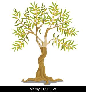 Ernte griechischen Oliven Baum mit reifen grüne Oliven auf den Zweigen auf weißem Hintergrund. Vektor Cartoon Illustration close-up. Stock Vektor