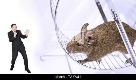 Terrified Geschäftsmann in der Nähe von riesigen Ratte. Abstrakte Foto. Stockfoto