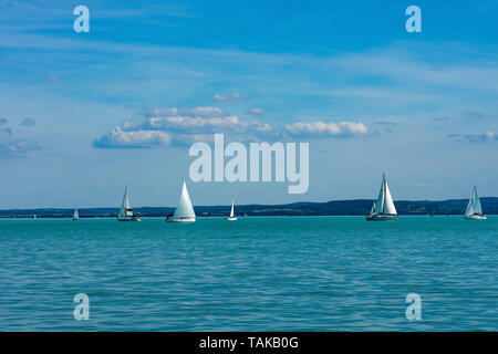 Segelboote auf dem See Plattensee Balatonfüred Stockfoto