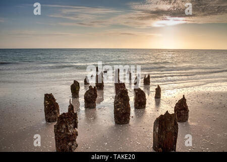 Golden Sunset an einem alten aufgeschlüsselt Pier am Strand von Naples in Naples, Florida. Stockfoto