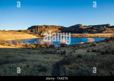Ein Blick von etwas über alte See in Schlaglöcher Coulee suchen, die Zentral im Staat Washington, USA. Stockfoto
