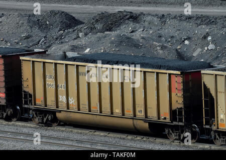 Eine kanadische National Rail Auto mit Kohle Erz aus einem Kohlebergwerk in den Ausläufern der Rocky Mountains von Alberta Kanada geladen. Stockfoto