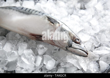 Leckere rohe Makrele Fisch auf Eis Stockfoto