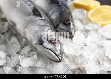 Leckere rohe Makrele Fisch auf Eis Stockfoto